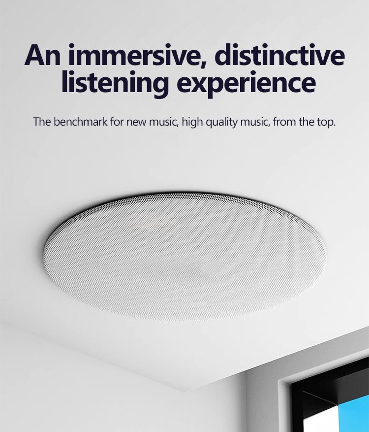 High Quality Wireless Ceiling  - огляд і ціна Audio Music Online